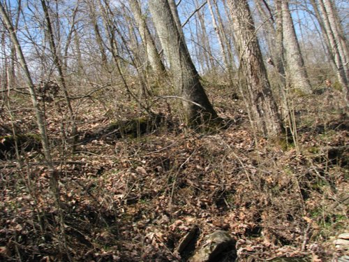 Property photo 27 - 137 Acres in 2 Tracts - 64 Tillable Acres, Potential Building Sites, Hunting